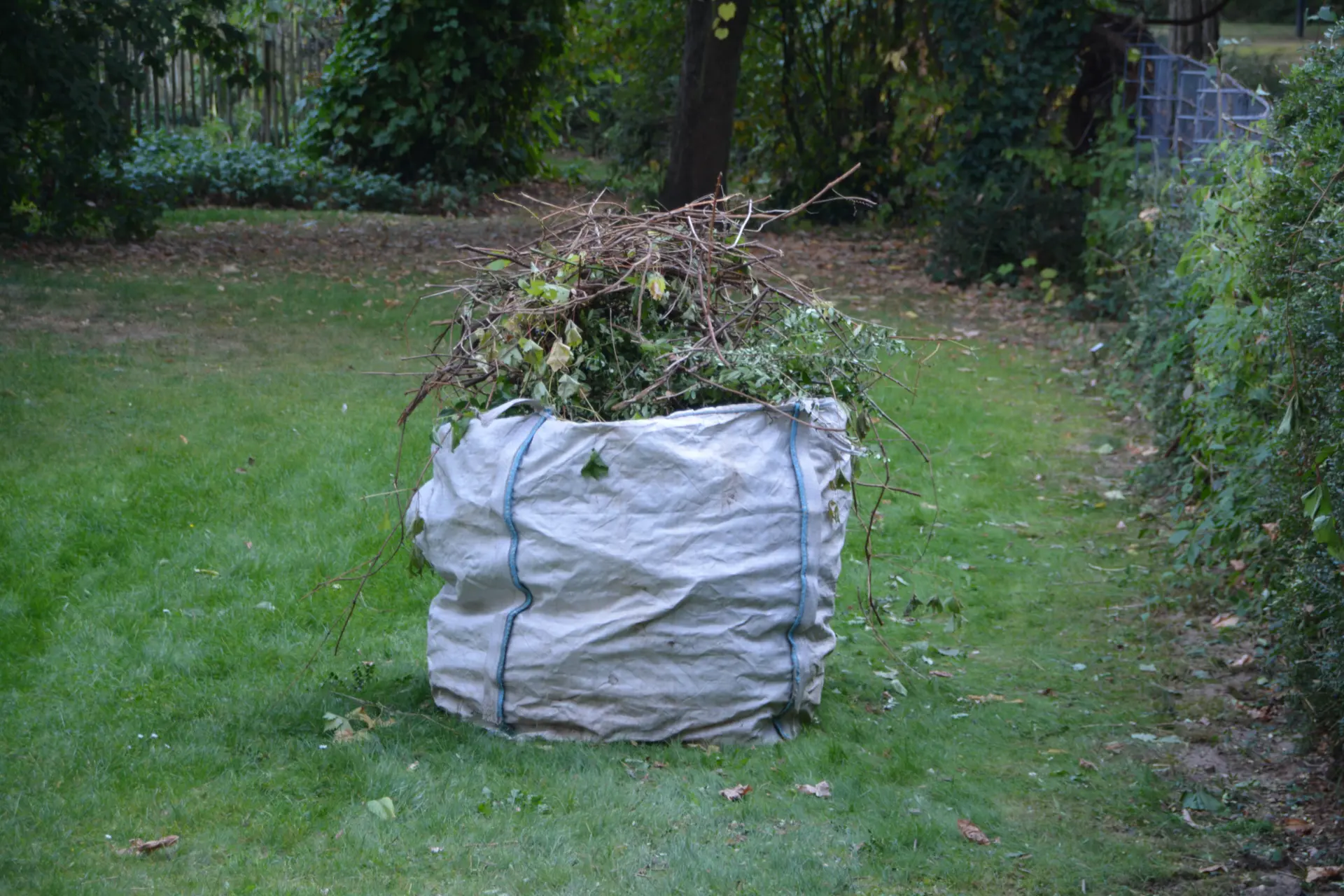 Seasonal Guide to Garden Waste Disposal