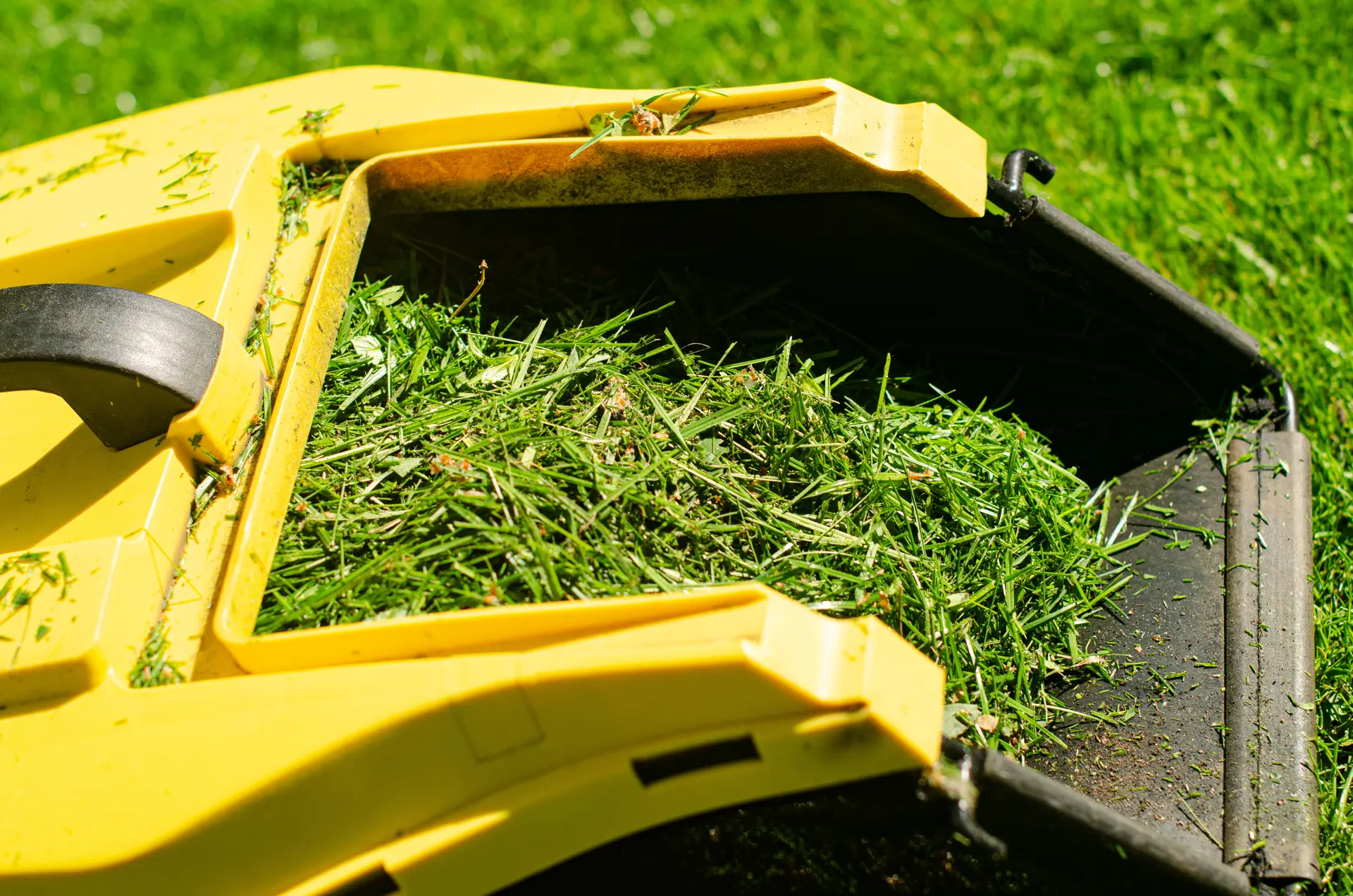 Seasonal Guide to Garden Waste Disposal