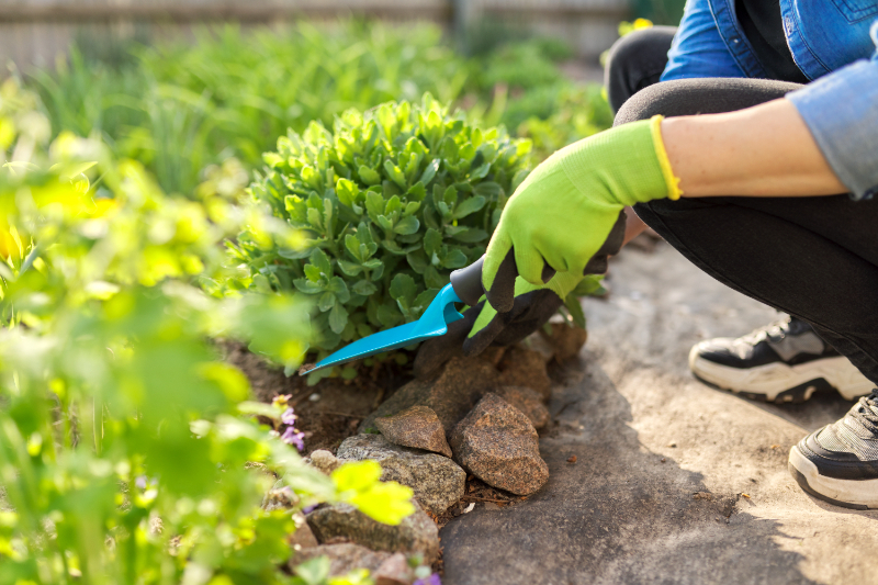 Garden Waste Removal Bodmin And Cornwall